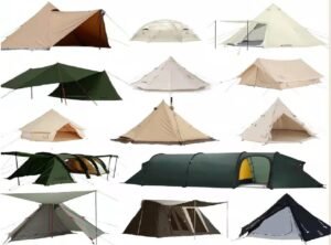 Read more about the article How to choose a tent
