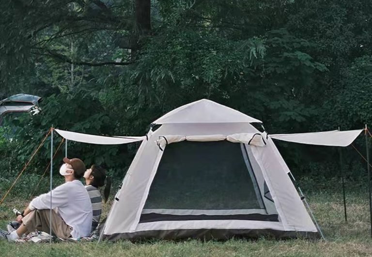 Read more about the article Park Tent